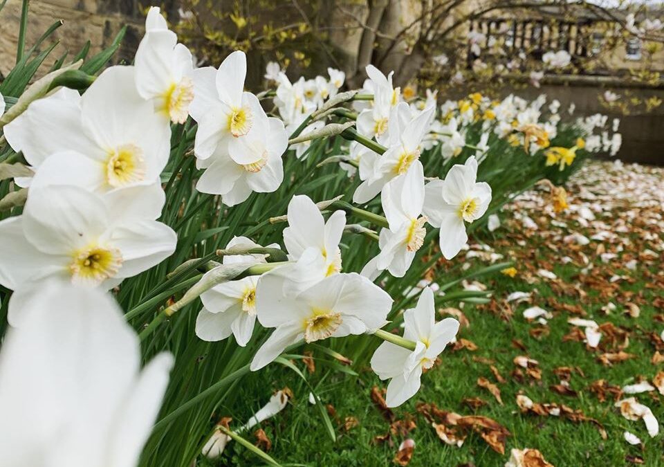 Easter and the Quaker Faith