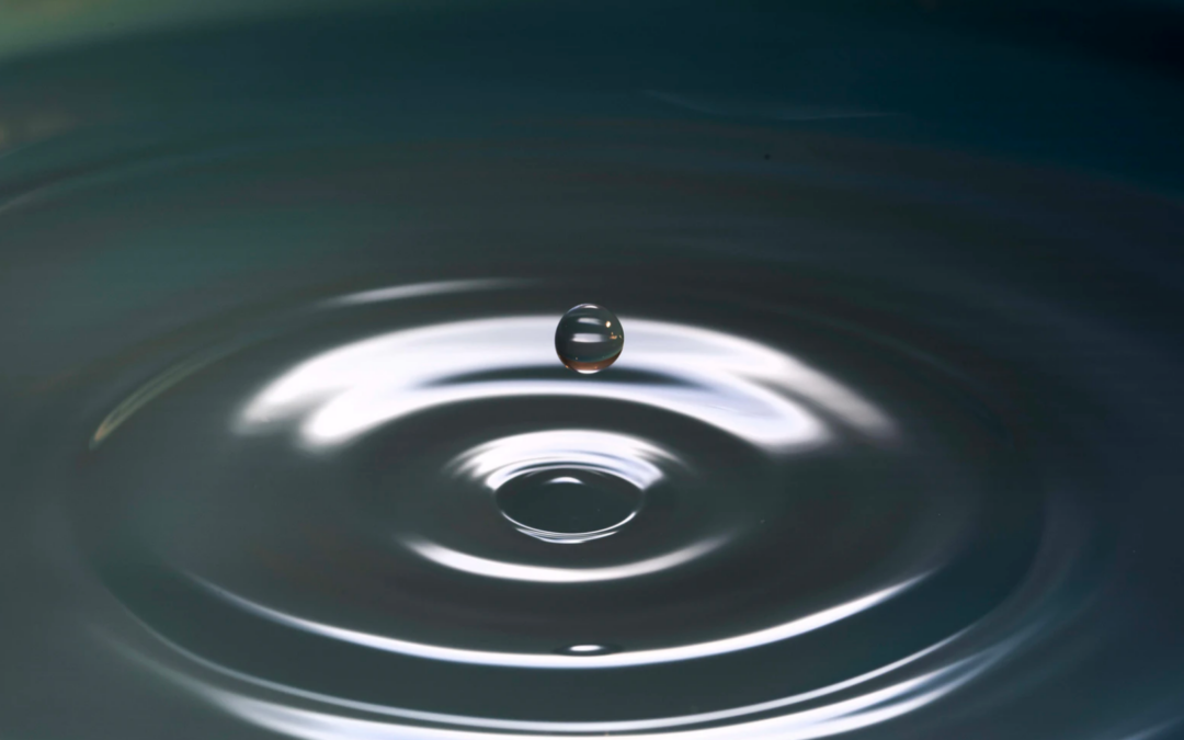 Mindfulness at Ackworth