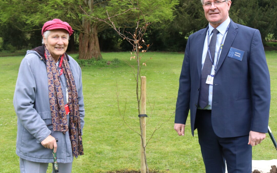 80 Trees for 80 Years